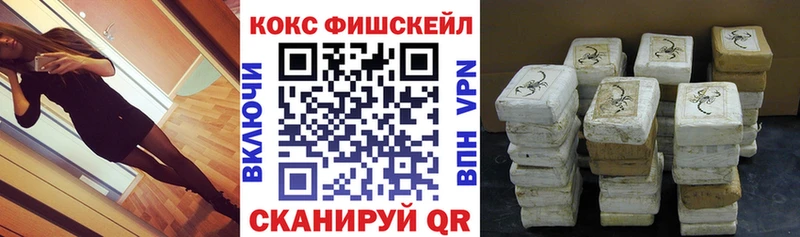 КОКАИН Fish Scale  Купить где  Нижние Серги 