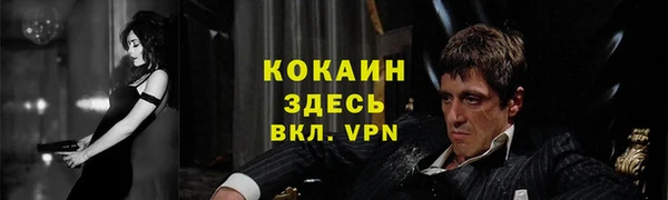 стафф Вязьма