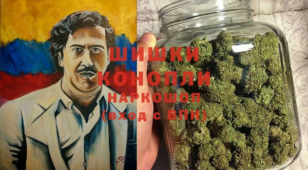 стафф Вязьма